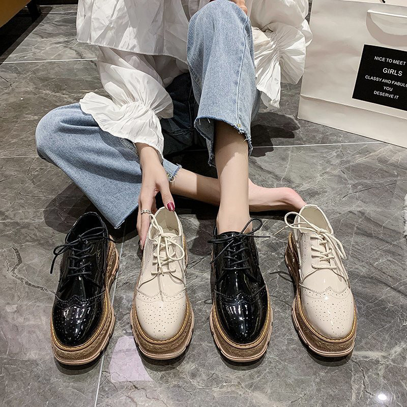 [t@[ fB[X pvX ECO`bv Xb|  vC C Ȃ 5cm [XAbv ʋ ʊw  