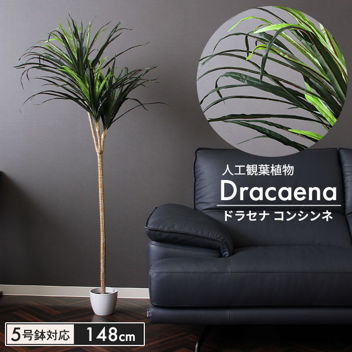 【値下げ】 人工 植物 鉢植え フェイクグリーン 高さ148cm 5号鉢対応 観葉植物 ドラセナ コンシンネ 造花 オフィス 観葉 インテリア 室内  鉢 リビング