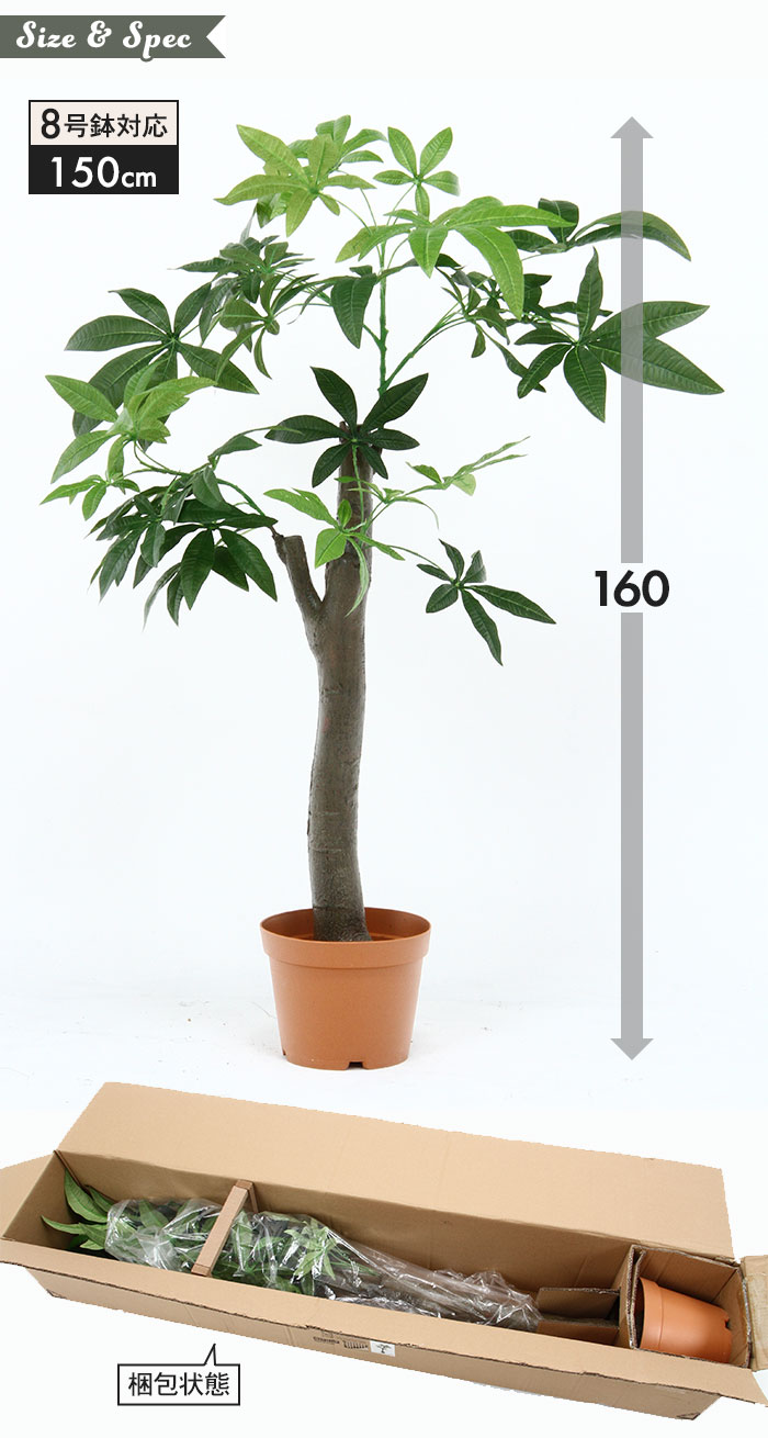 【値下げ】人工 植物 鉢植え フェイクグリーン 高さ150cm 8号鉢対応 観葉植物 パキラ 朴の木タイプ 造花 オフィス 観葉 インテリア 室内 鉢 リビング｜sanyo-interior｜06