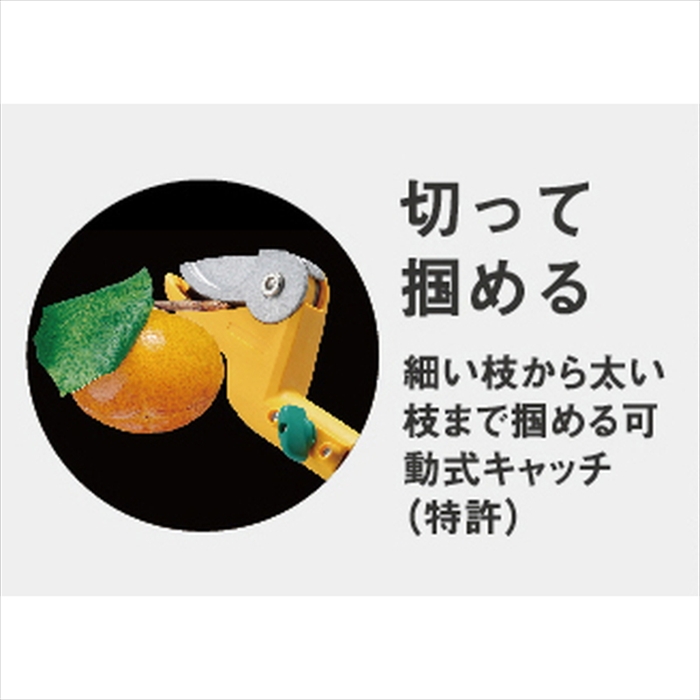 値下げ 高枝切りバサミ 1.4〜3m 3段式 17段伸縮 高枝切り はさみ キャッチ機能 プッシュカット 押して切る アンビル刃_1