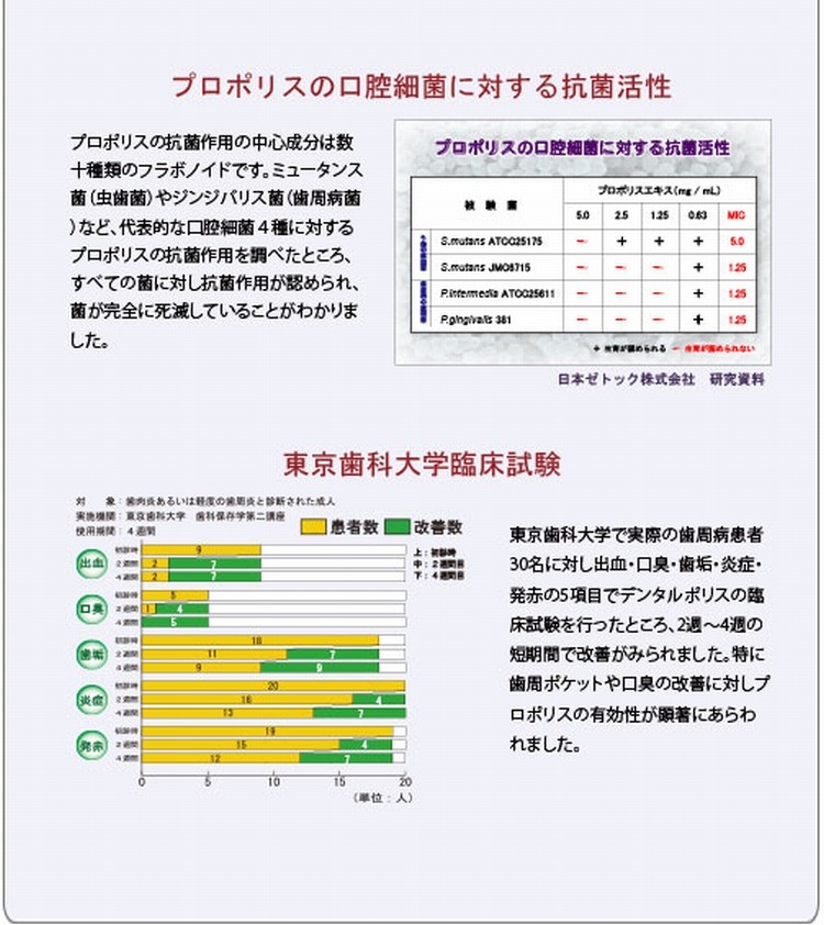 デンタルポリス DX 【80g×3本セット】歯磨き粉 歯肉炎 歯槽膿漏 ホワイトニング 歯みがき プロポリス :dnt-03:サンユウ卸直販 - 通販  - Yahoo!ショッピング