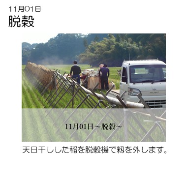 なっちゃんさま専用 広島県龍頭山麓 ひとめぼれ 令和6年産玄米24kg 有機肥料 米 令和6年産 安芸高田市産コシヒカリ『玄米』6kg[No5895-0253
