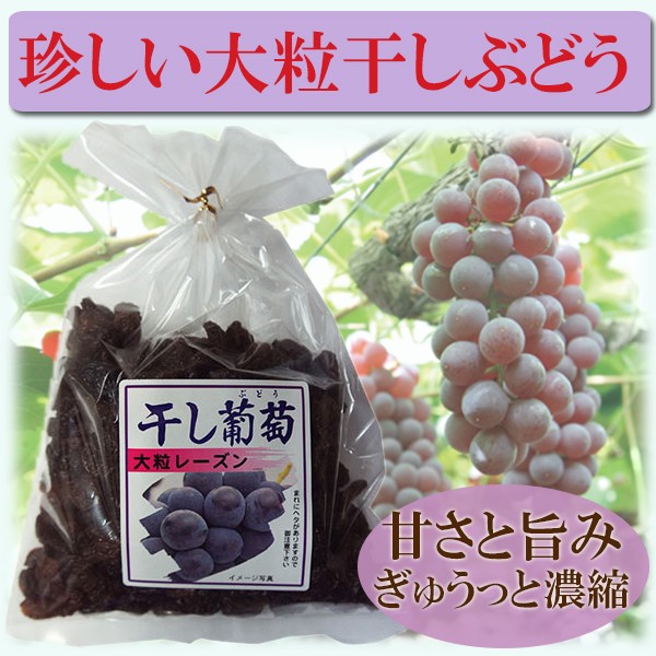 干し葡萄 大粒干しぶどう 干しぶどう 大粒レーズン レーズン 400ｇ 旧