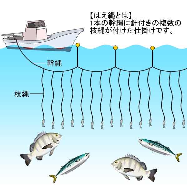 漁師さん御用達/ 魚捕獲漁具/ はえ縄100本針仕掛け 伝統漁法/