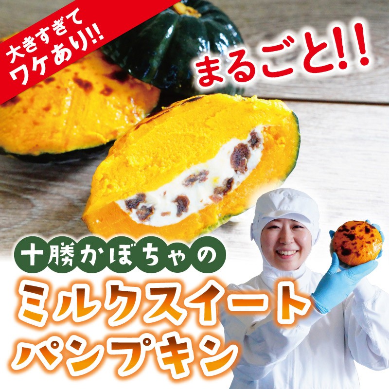 わけあり！ 十勝かぼちゃのミルクスィート ハロウィン パンプキン スイーツ かぼちゃ 北海道 牛乳 デザート アウトレット お取り寄せ  :ecr-026p:札幌鱗幸 Yahoo!店 - 通販 - Yahoo!ショッピング