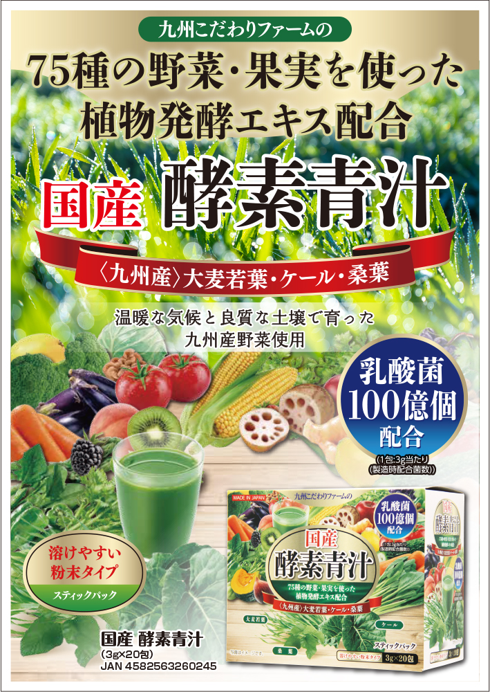 青汁 酵素 国産 国産酵素青汁 3g×20包 乳酸菌 善玉菌 スティックパック