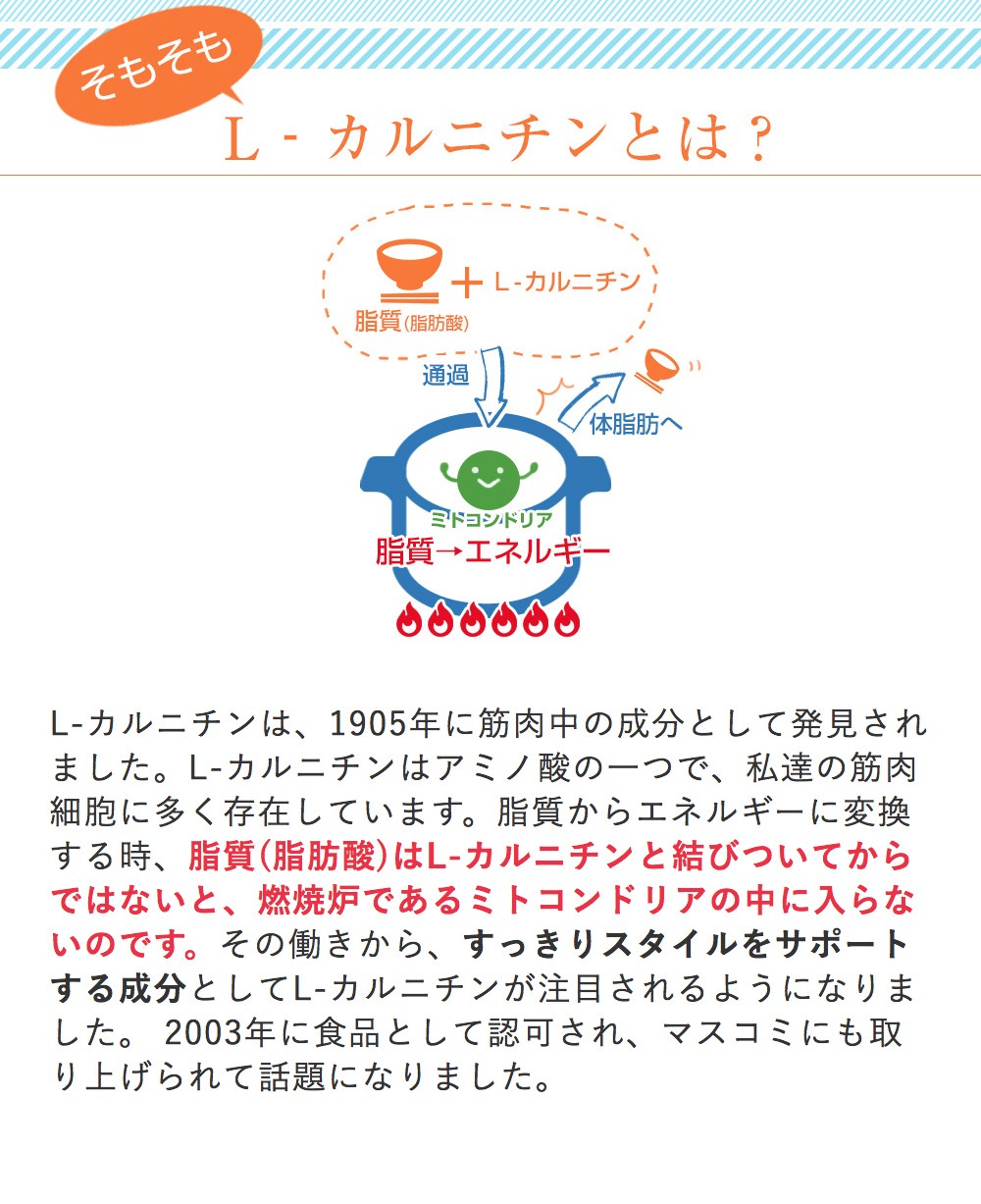 L-カルニチン ストロング 170粒 6個セット 送料無料 カルニチン サプリメント Lカルニチン アミノ酸 サプリ  :4540936001642-6k:美サイレントあるふぁ - 通販 - Yahoo!ショッピング