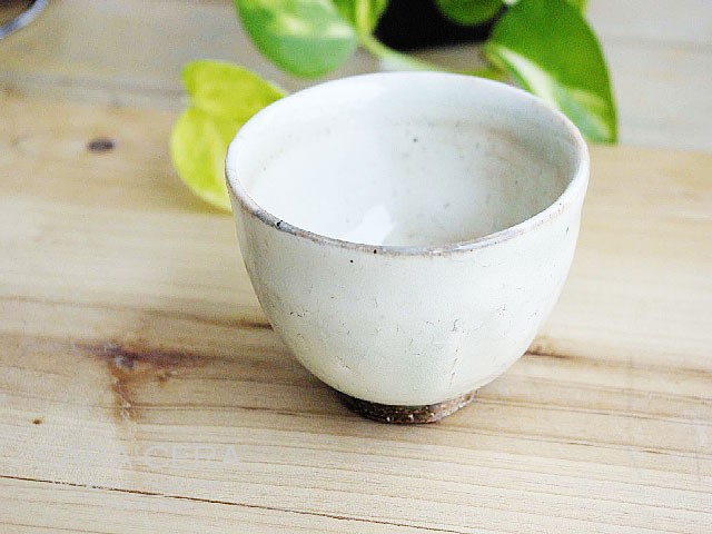 ぐい呑　京焼 和食器 京焼 清水焼 本粉引ぐい呑み(お取り寄せ商品 欠品時約1ヶ月程度