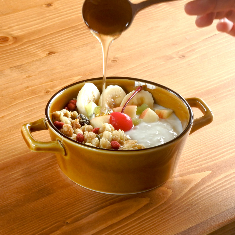 食器 スープ皿 グラタン皿 おしゃれ 北欧風 フラムサン 手付 5オニオン