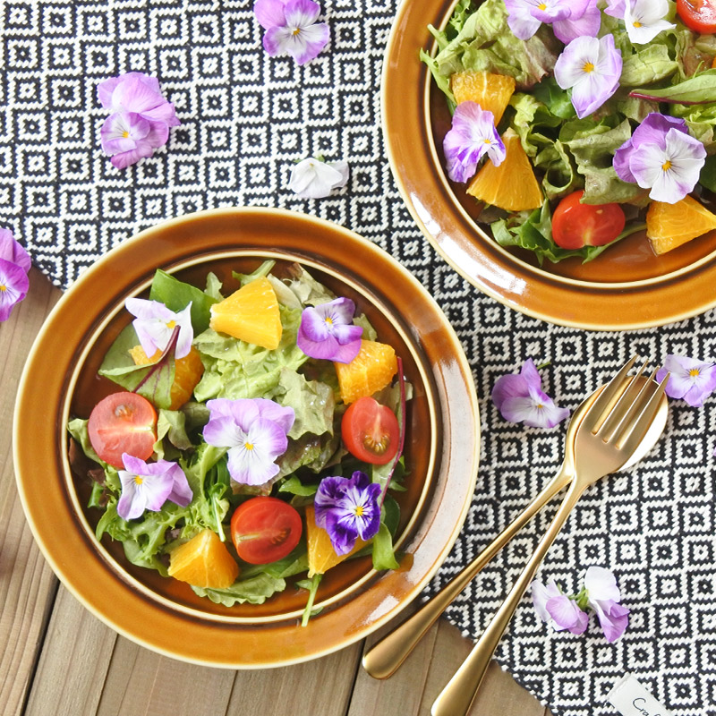 食器 お皿 取り皿 おしゃれ 可愛い 北欧風 pratico プラティコ 16cm