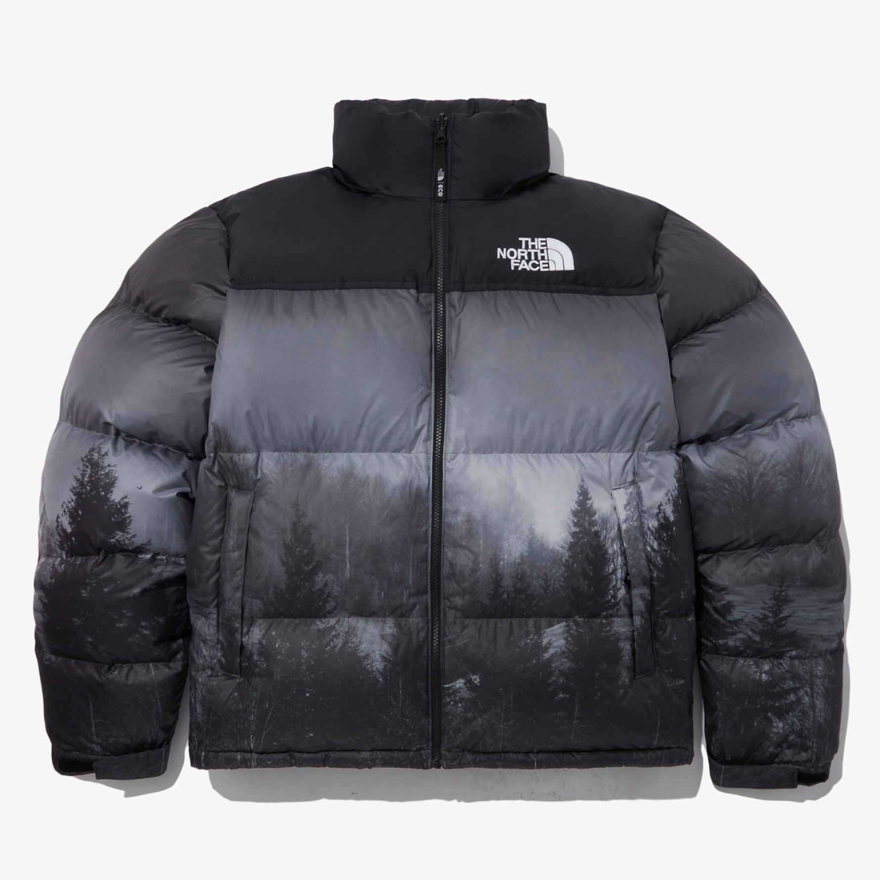 THE NORTH FACE ザノースフェイス M'S 1996 NOVELTY NUPTSE JACKET ダウンジャケット アウター メンズ  ユニセックス ウィンター NJ1DP76 海外輸入