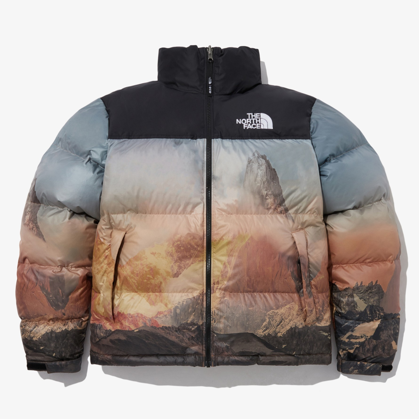 THE NORTH FACE ザノースフェイス M'S 1996 NOVELTY NUPTSE JACKET ダウンジャケット アウター メンズ  ユニセックス ウィンター NJ1DP76 海外輸入