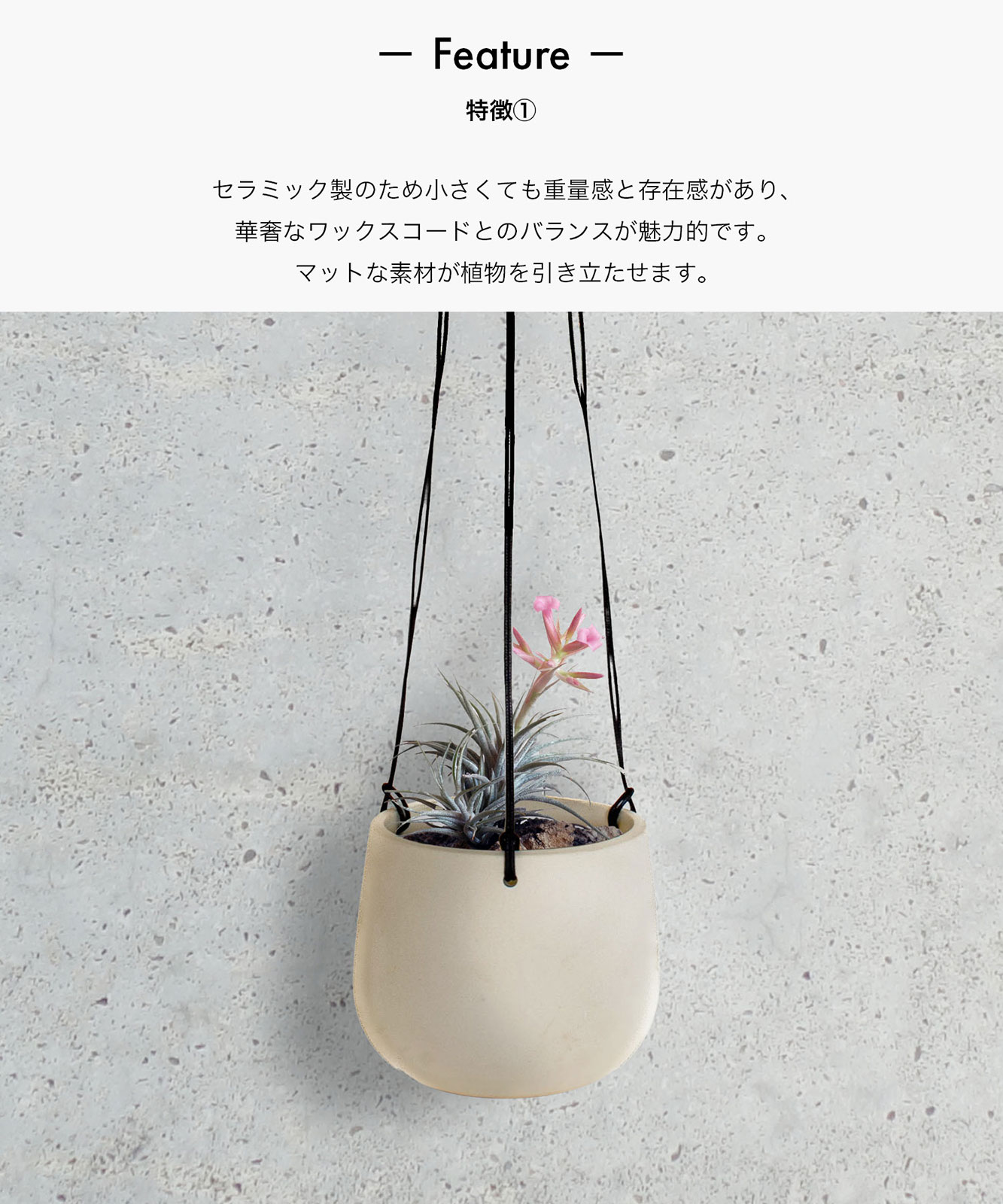 Sara Plus リフト - 電動式立位補助器 | Arjo
