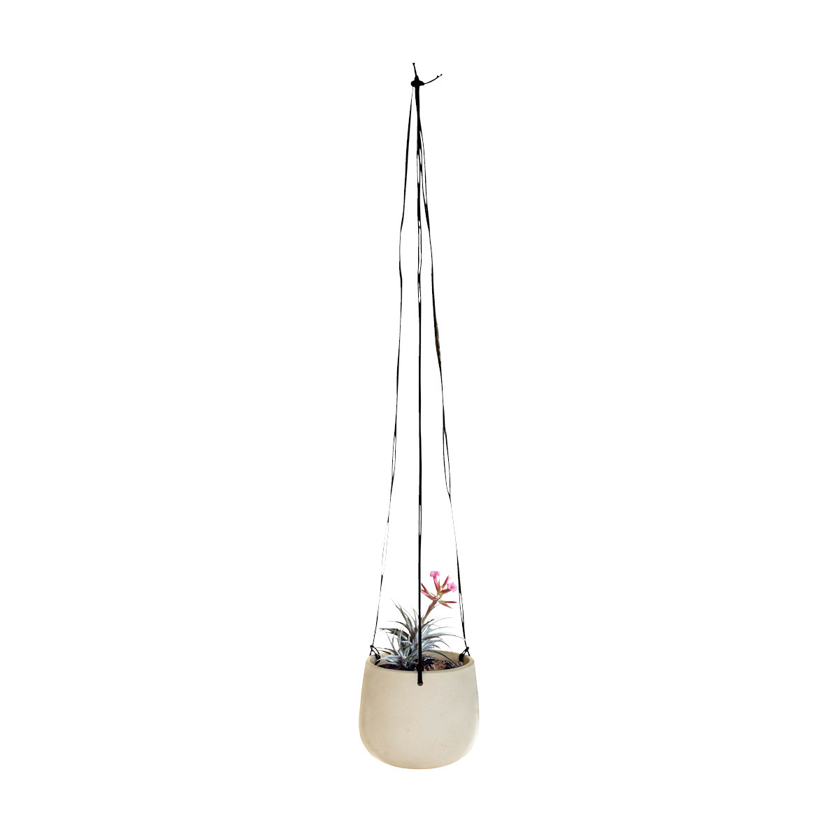 sarasa design セラミックのおしゃれなハンギングプランター