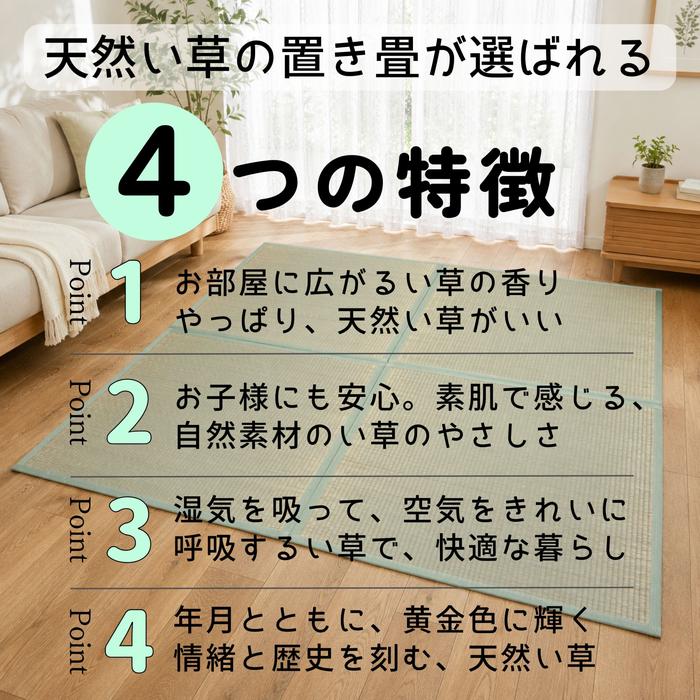9枚組(246x246cm) 半畳サイズ9枚組：4.5畳用 ユニット畳「雅」【不織布