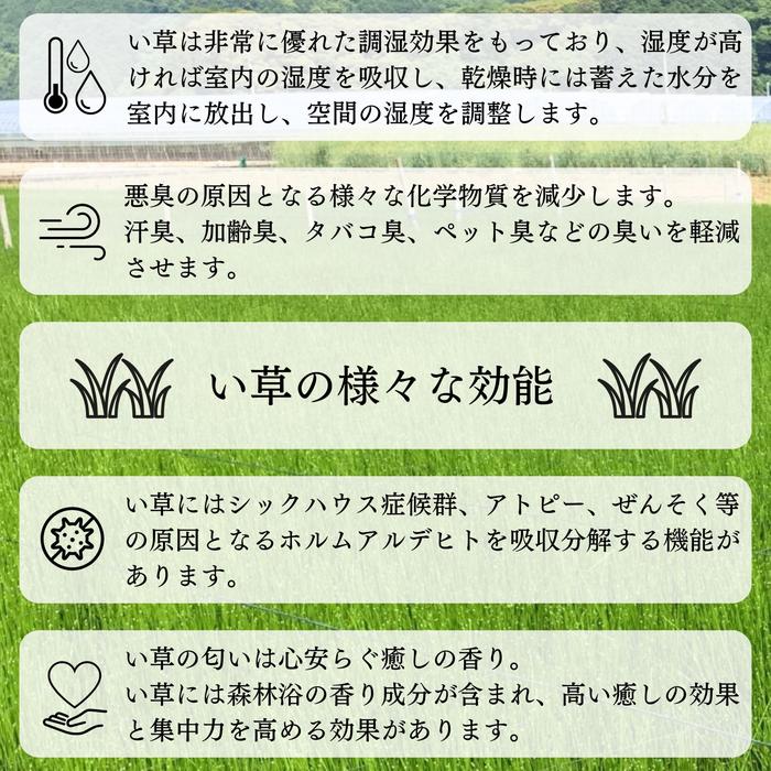 い草長座布団 うちわ ブルー色 55x110c...の詳細画像3