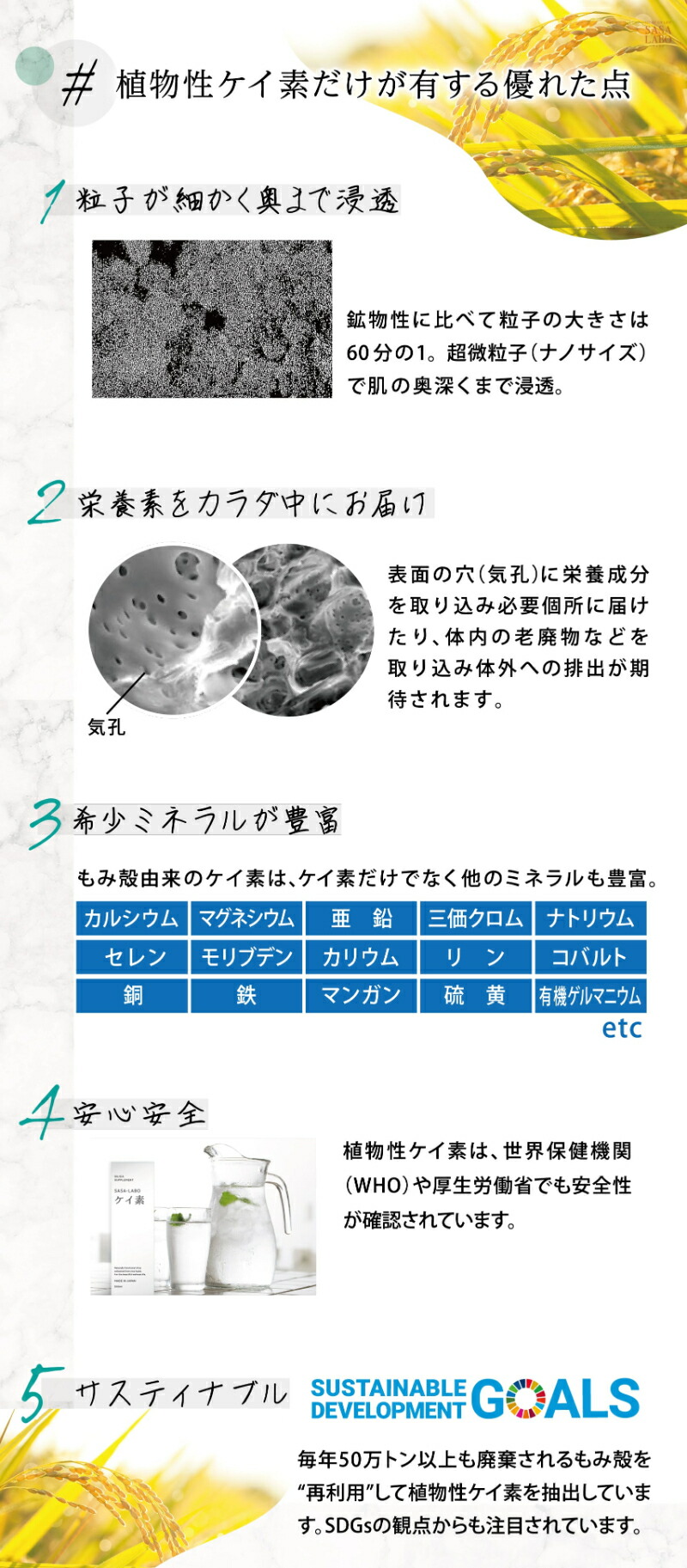 ケイ素10