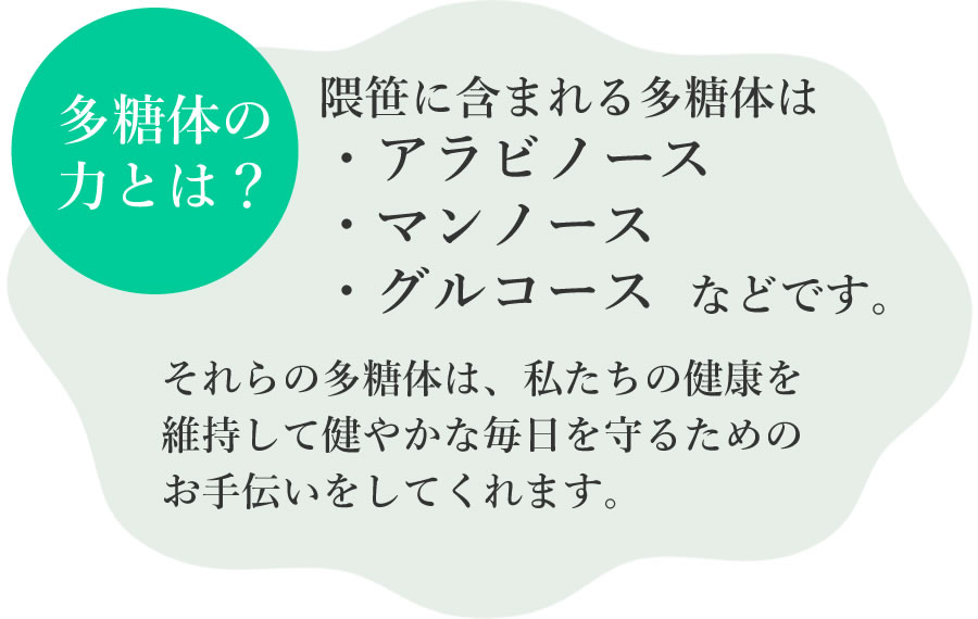 ホシ 隈笹エキス 星製薬 熊笹 クマ笹 45g 2gおまけ付き 送料無料 国産