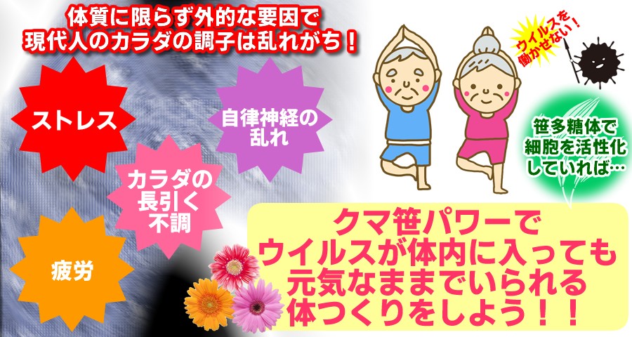 熊笹 隈笹 クマザサ とは何 クマザサ成分の効果 効能とは 熊笹専門店 ササランドyahoo 店 通販 Yahoo ショッピング