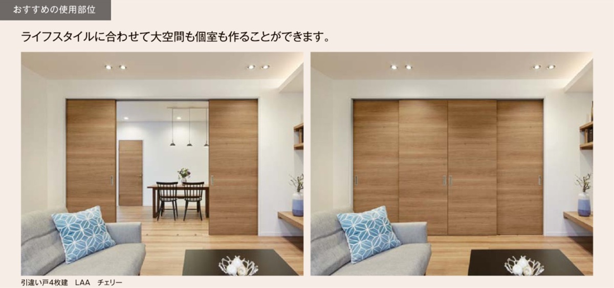 LIXIL（リクシル） ラシッサS 室内引戸 LZE 1620/1623 ケーシング 可動