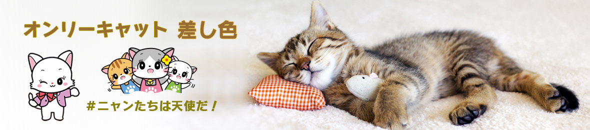 オンリーキャット差し色 ヘッダー画像