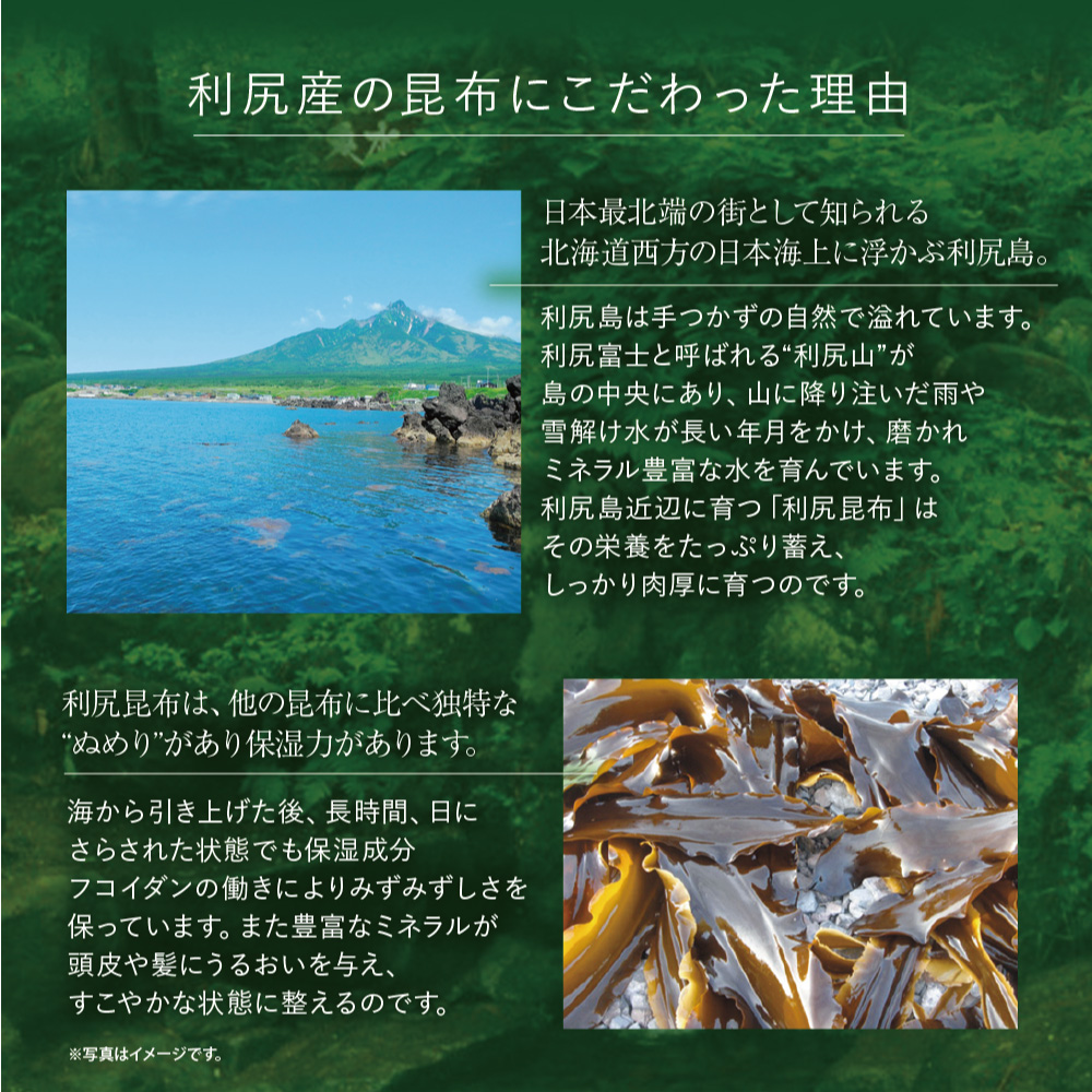 利尻昆布シャンプー&コンディショナー  600ml 自然派　無添加　徳用サイズ 自然派clubサスティ 利尻シャンプー＆利尻コンディショナー お