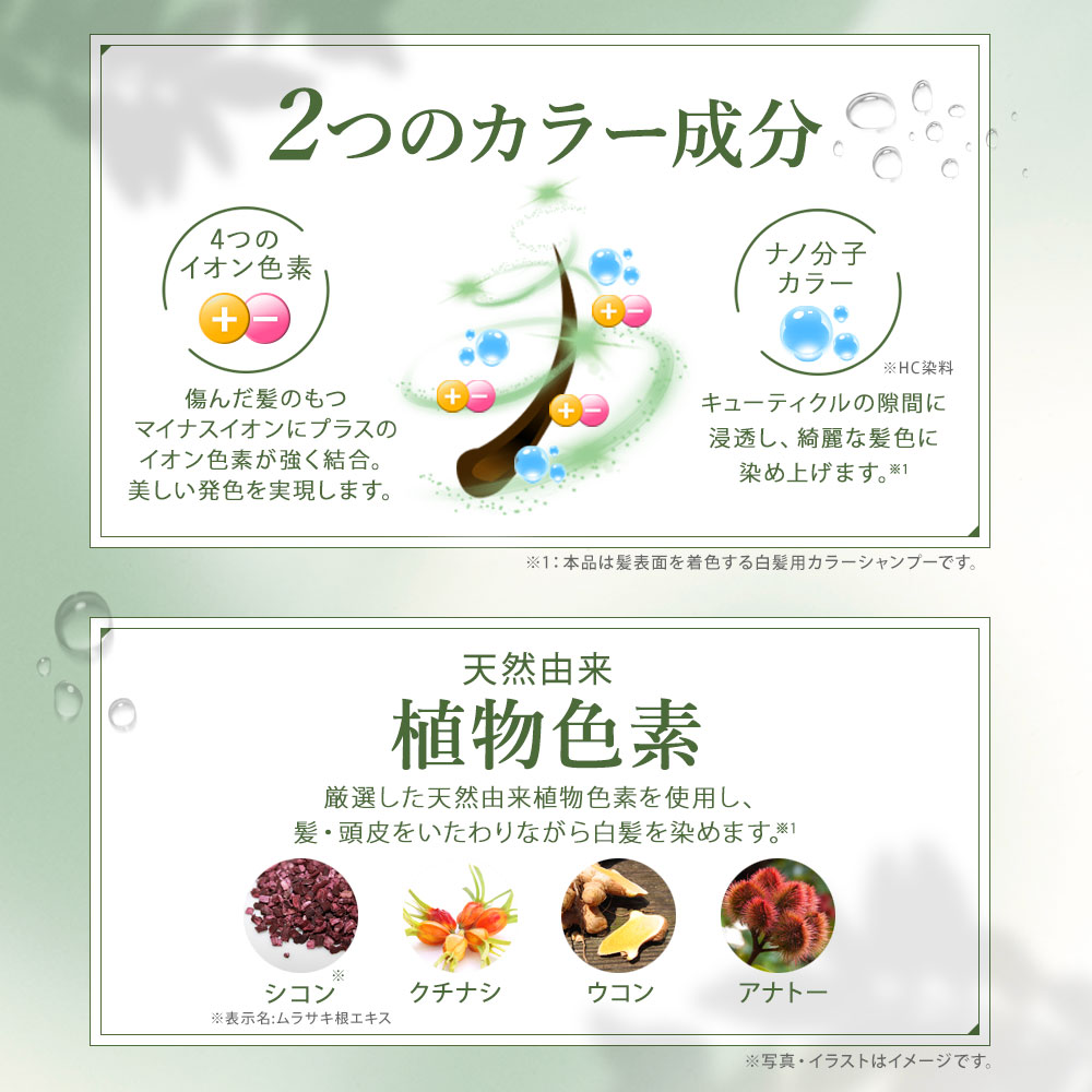 自然派clubサスティ 利尻カラーシャンプーお徳用 500ml 無添加