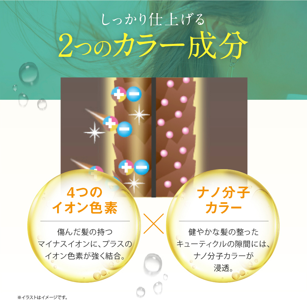 カラーシャンプー専用ボトル+詰め替え用パウチ 2袋 セット 無添加