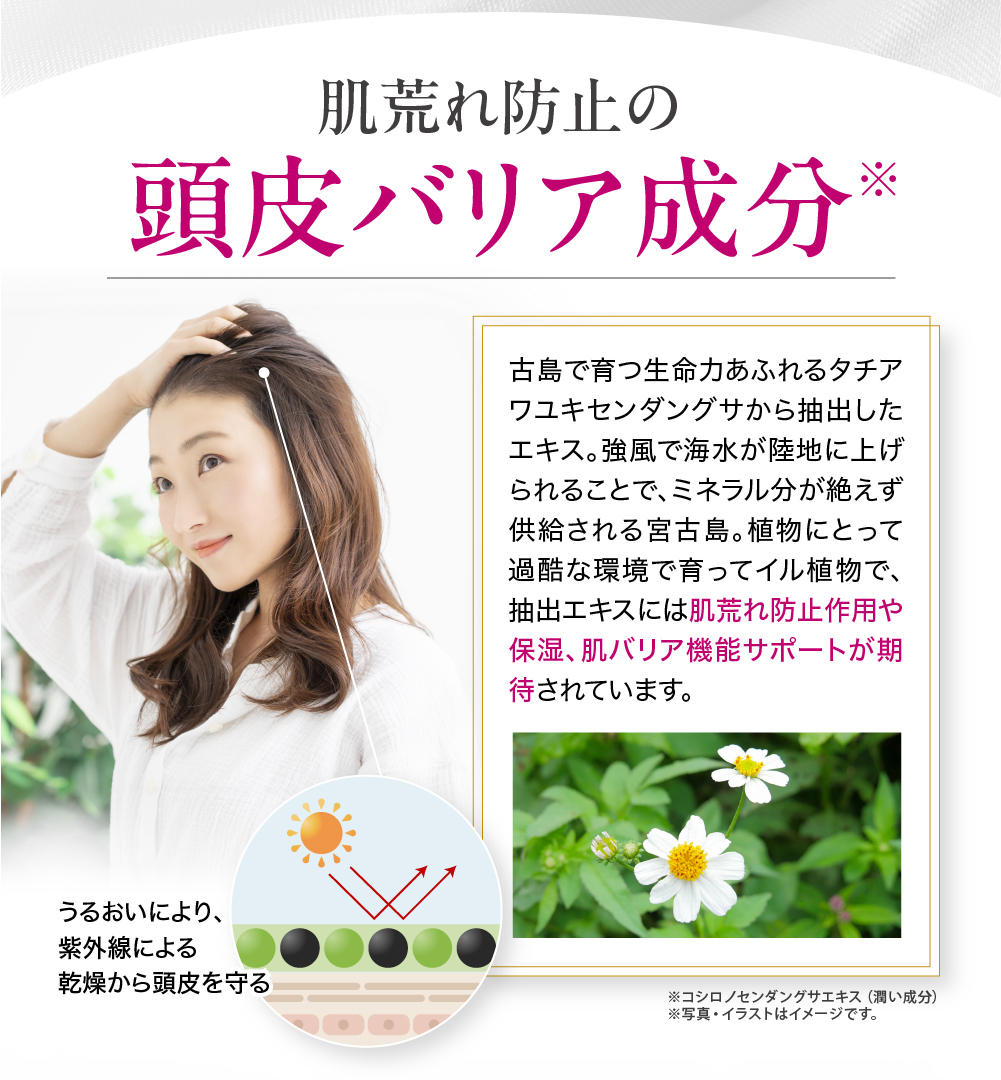 ワンステップカラークリームシャンプー 染める 洗う ダメージ
