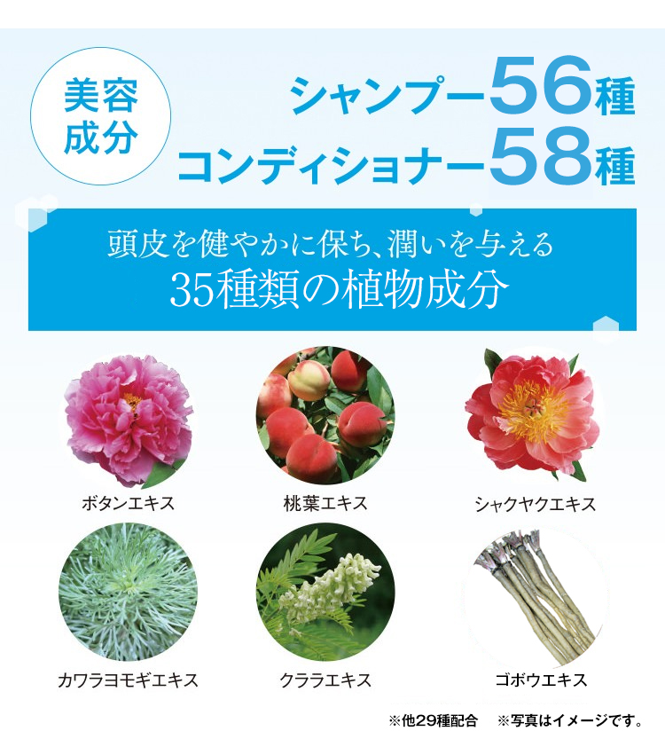 利尻ヘアカラー・無添加化粧品 自然派clubサスティ<薬用>利尻
