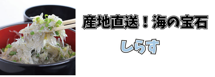 さすぼし蒲鉾株式会社 - Yahoo!ショッピング