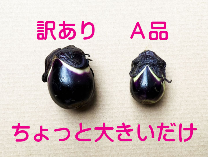 民田茄子