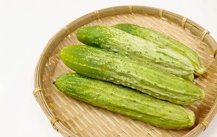 在来種 野菜 外内島キュウリ