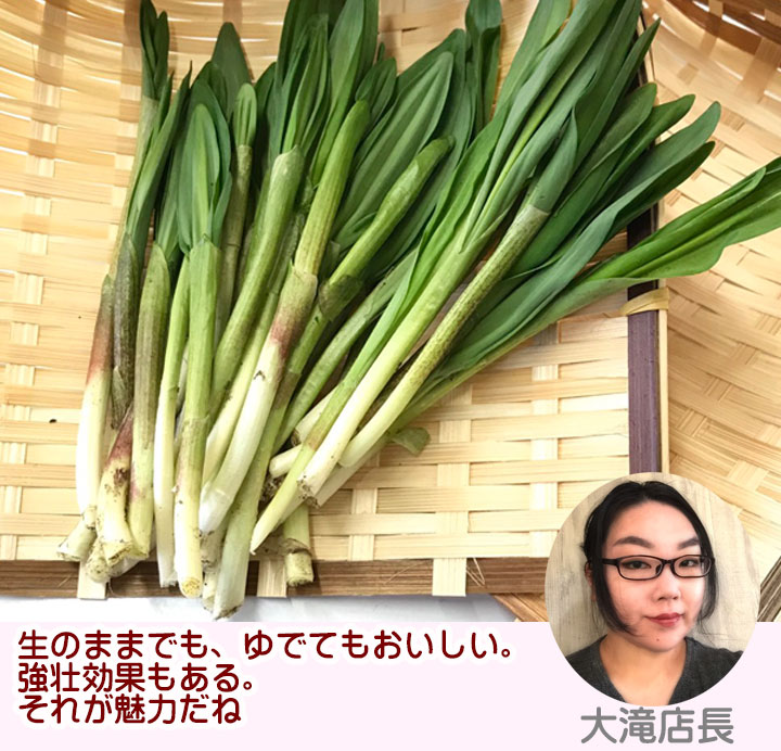 山菜 行者ニンニク