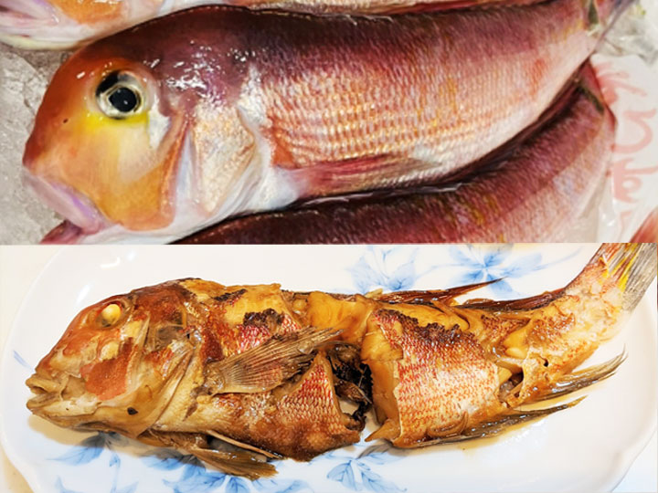 甘鯛延縄　新品 天然 甘鯛 1kg4〜6尾前後 冷蔵 アマダイ 山形県 庄内浜産 鮮魚