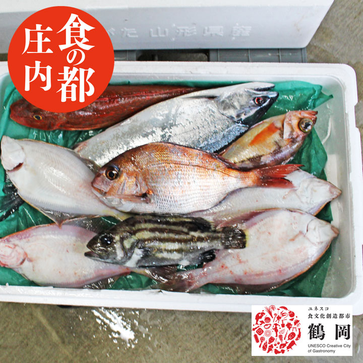サウザー　産地直送　山形米　食品詰め合わせ 楽天市場】令和6年産 山形県産 お米 ギフト こめイロ 3種 食べ
