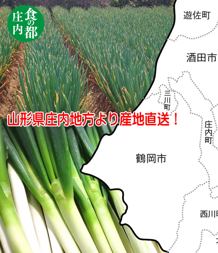 庄内野菜