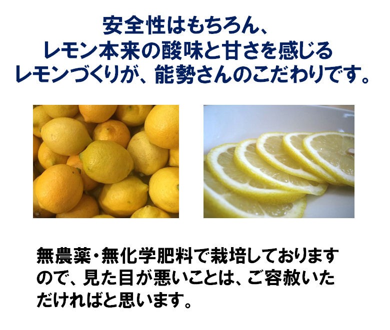 広島県産 能勢さんの 無農薬レモン 5kg AB混合品 防腐剤 防カビ剤不使用 瀬戸田レモン 国産レモン 青レモン 広島レモン :  ao-lemon-05-noa : キープビギン 里の贈りもの - 通販 - Yahoo!ショッピング