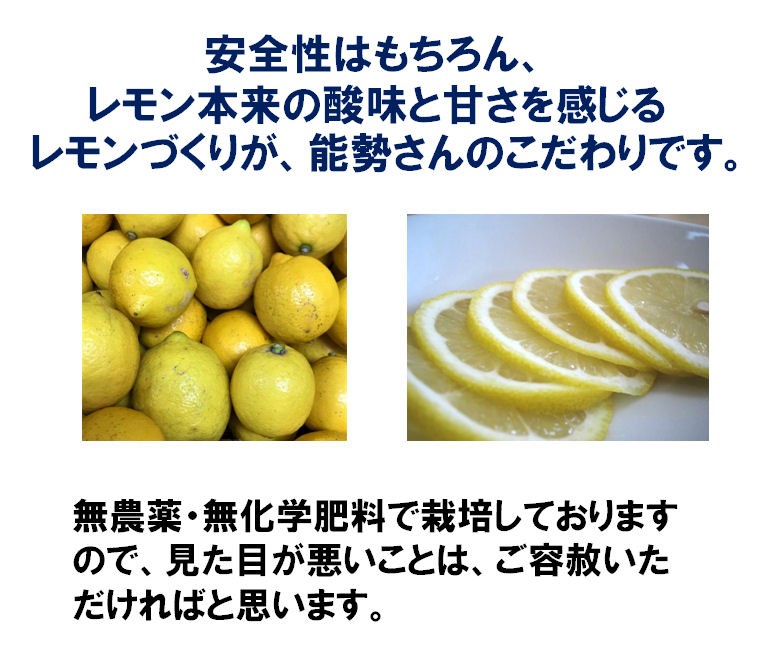 広島県産 能勢さんの 無農薬レモン 3kg 家庭用 訳あり 防腐剤 防カビ剤不使用 瀬戸田レモン 国産レモン 青レモン 広島レモン :  ao-lemon-03-nose : キープビギン 里の贈りもの - 通販 - Yahoo!ショッピング