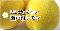 岩城島のレモン