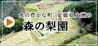 森の梨園