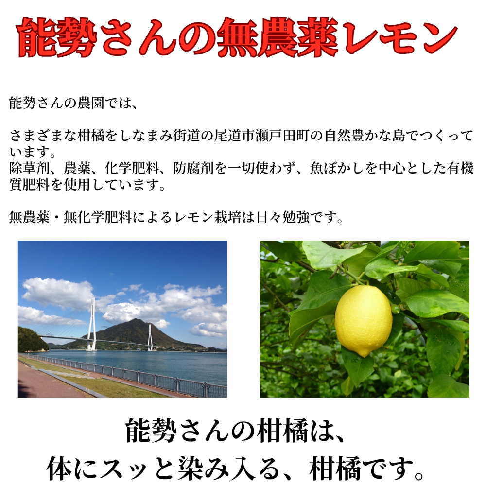広島県産 能勢さんの 無農薬レモン 5kg 家庭用 訳あり 防腐剤 防カビ剤 