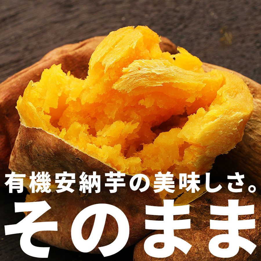 焼き芋設備一式 Amazon | Kurflo 業務用 焼き芋器 電気式 石やきいも機 大容量