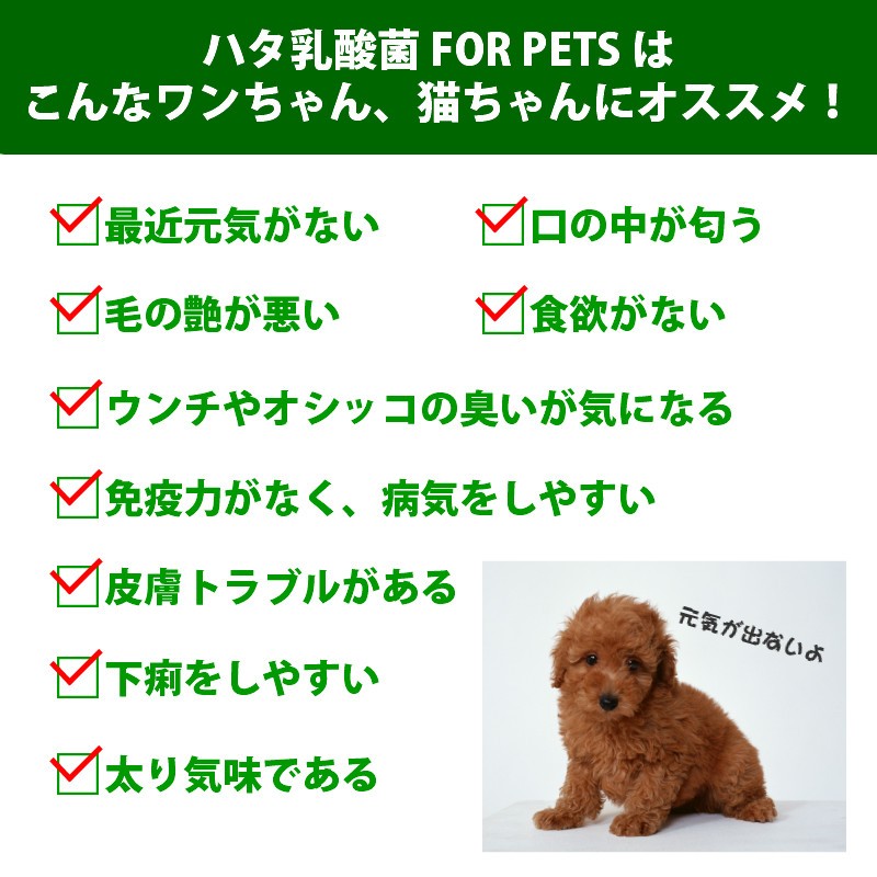 動物用 サプリ 犬 猫 ハタ乳酸菌 For Pets ペット用 60g アレルギー 歯周病 口臭 Ns Nps サツマ薬局 通販 Yahoo ショッピング