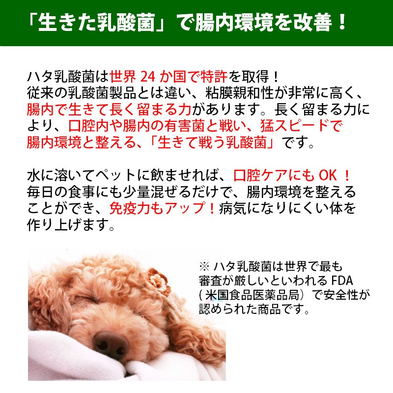 ついに入荷 ハタ乳酸菌 For PETS ペット その他 | www.mkc.mk