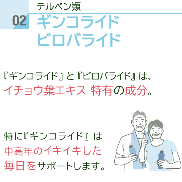 イチョウ葉エキス サプリメント Gingo-EX(ギンゴイーエックス) 60カプセル いちょう ギンコ〔サツマ薬局〕