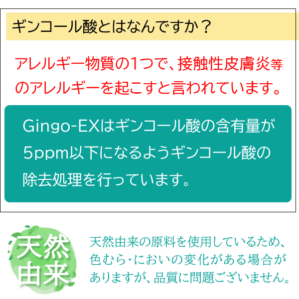 イチョウ葉エキス サプリメント Gingo-EX(ギンゴイーエックス) 60カプセル いちょう ギンコ〔サツマ薬局〕