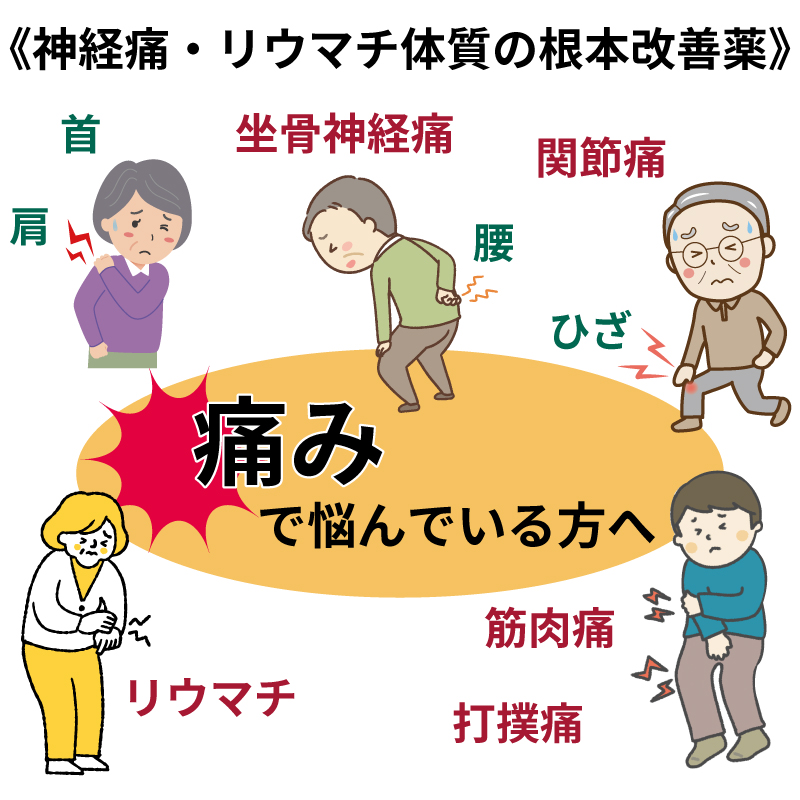リウマチ神経痛腰痛用薬 2個セット 楽天市場】【×2個セット送料込】【第3類医薬品】米田薬品工業