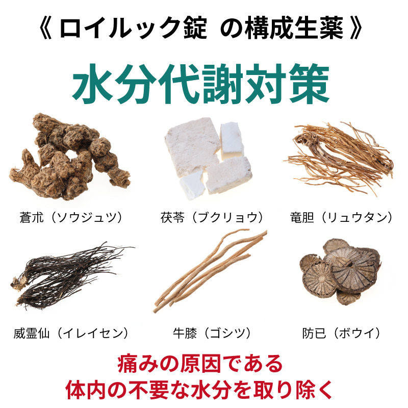 リウマチ神経痛腰痛用薬 2個セット キューピーコーワ 【第2類医薬品】 コシテクター 120錠×2個