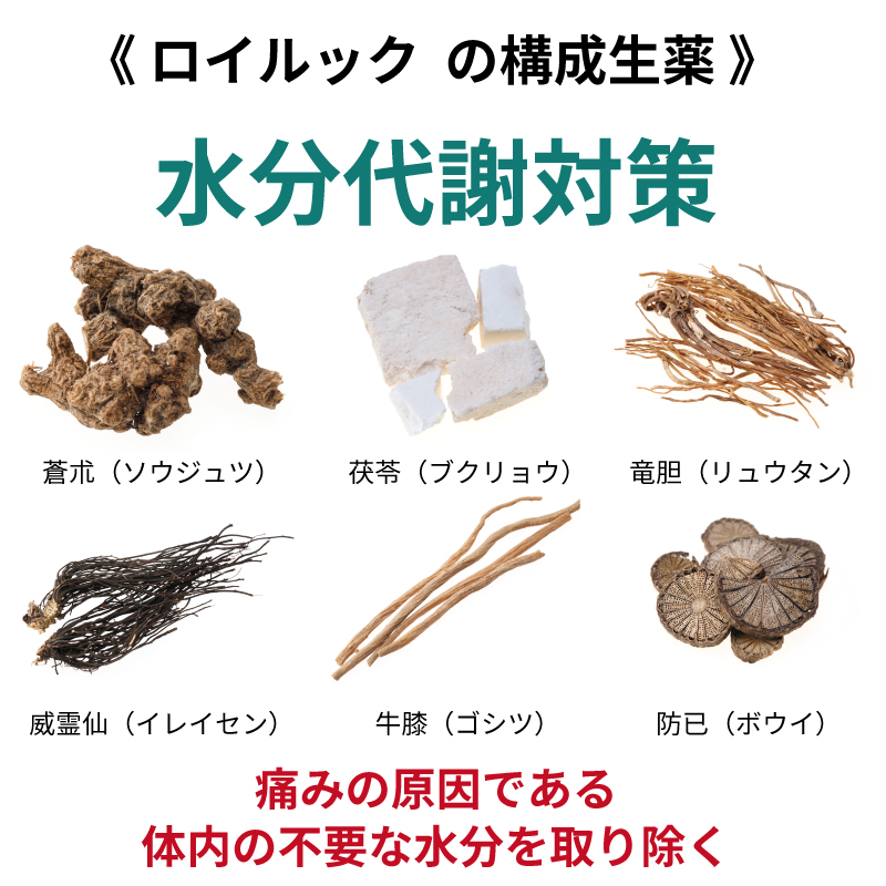 最終値下げ‼️5箱　常備浴 リウマチ・神経痛用 ホノミ漢方 神経痛 リウマチ 関節痛 ロイルック 900カプセル 筋肉痛